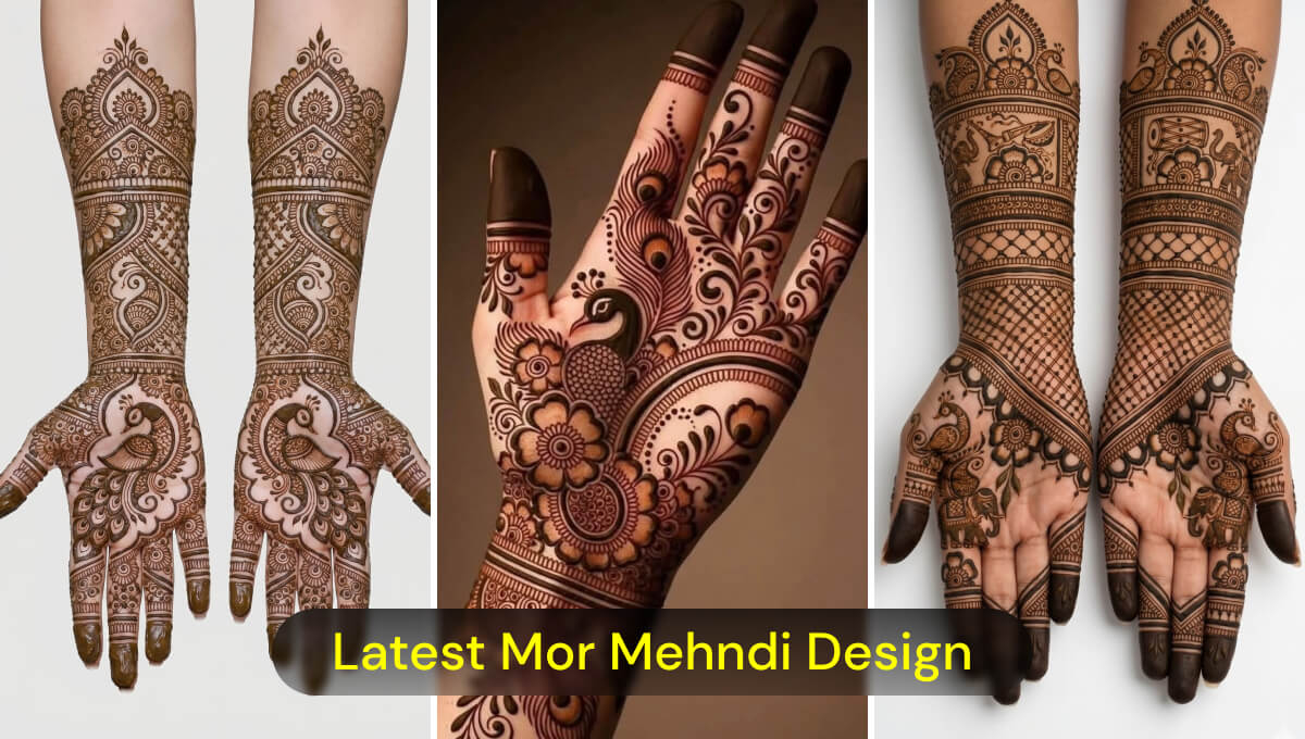 Mehndi Design News in Hindi | Latest Designs - SKD News